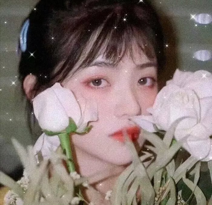 奢侈的骨