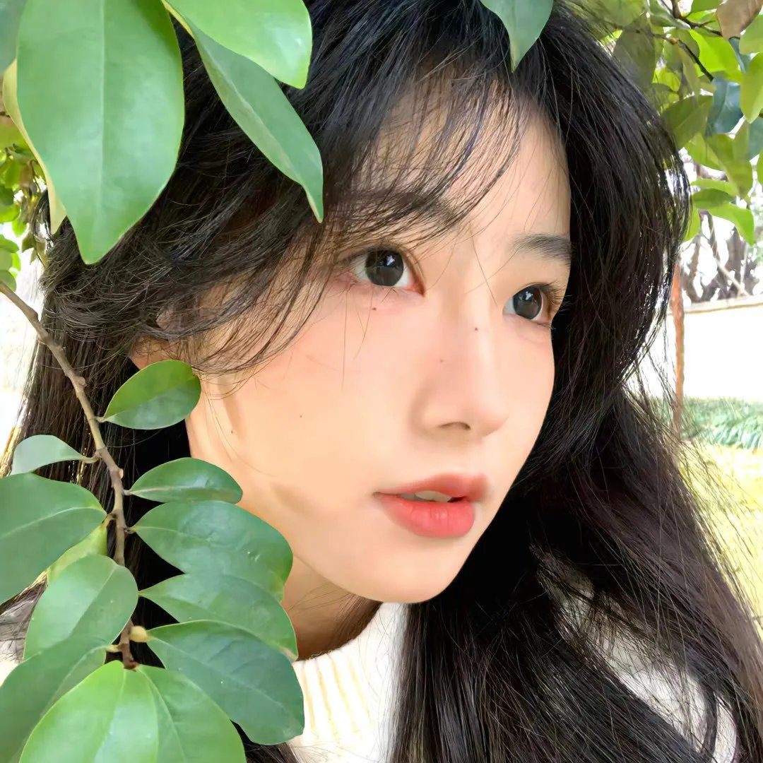迷途花生酱